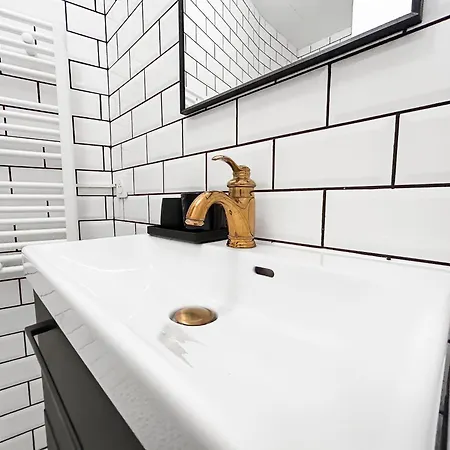 L'ecrin Terracotta - T3 Renove Centre * Albi