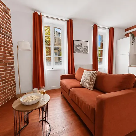 L'ecrin Terracotta - T3 Renove Centre Albi